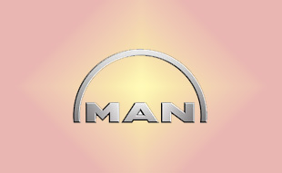 ✓ MAN 36.12501.6001 Запчасти МАН (MAN) 